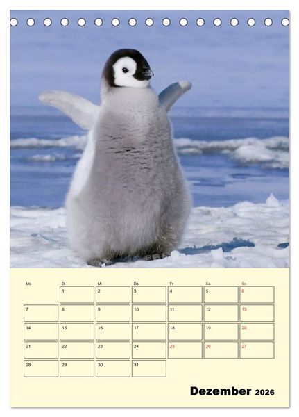 Produktbild: Pinguine. Wackeln im Thermo-Frack (Tischkalender 2026 DIN A5 hoch), CALVENDO Monatskalender