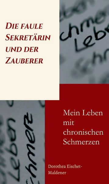 Produktbild: Die faule Sekret&auml;rin und der Zauberer