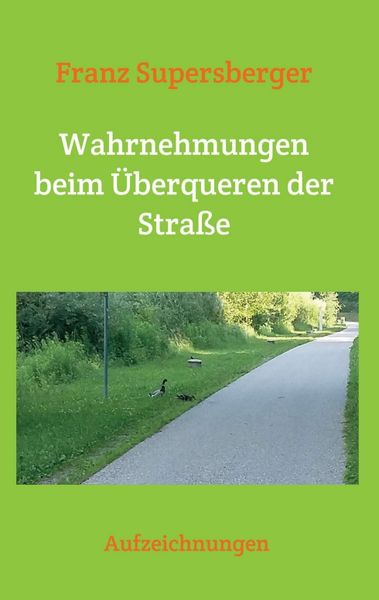 Produktbild: Wahrnehmungen beim &Uuml;berqueren der Stra&szlig;e