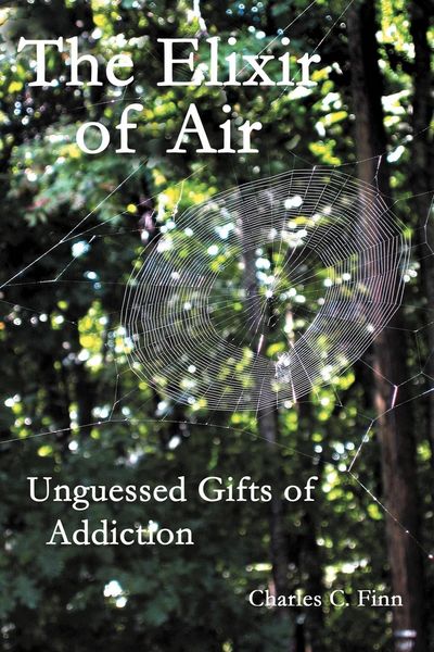 Produktbild: The Elixir of Air
