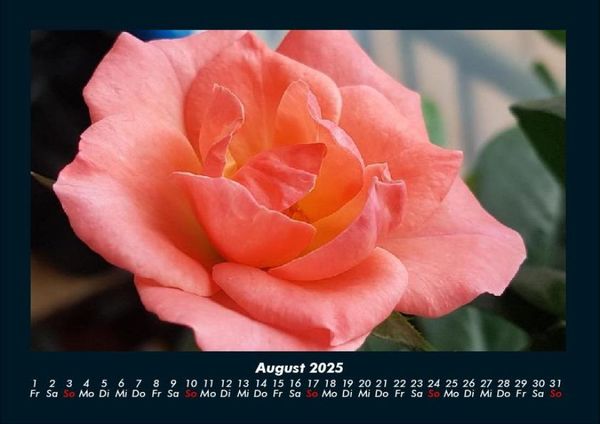 Produktbild: Rosentraum 2025 Fotokalender DIN A4