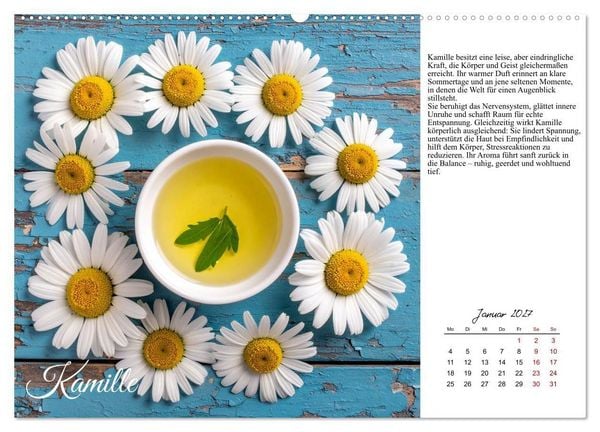 Produktbild: Heilsame Aroma&ouml;le (Wandkalender 2027 DIN A2 quer), CALVENDO Monatskalender