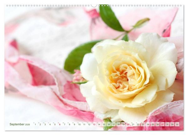 Produktbild: So viele sch&ouml;ne Rosen (hochwertiger Premium Wandkalender 2026 DIN A2 quer), Kunstdruck in Hochglanz