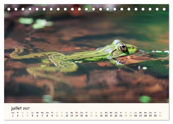 Produktbild: Les voisins du jardin - Une ann&eacute;e de rencontres (Calendrier de bureau 2027 DIN A5 vertical), CALVENDO calendrier mensuel