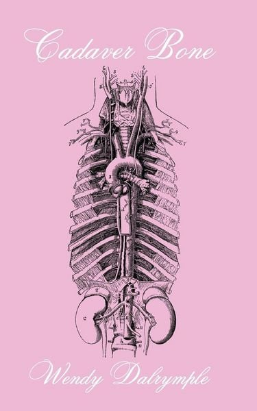 Produktbild: Cadaver Bone