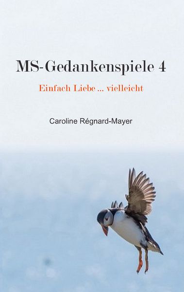 Produktbild: MS-Gedankenspiele 4