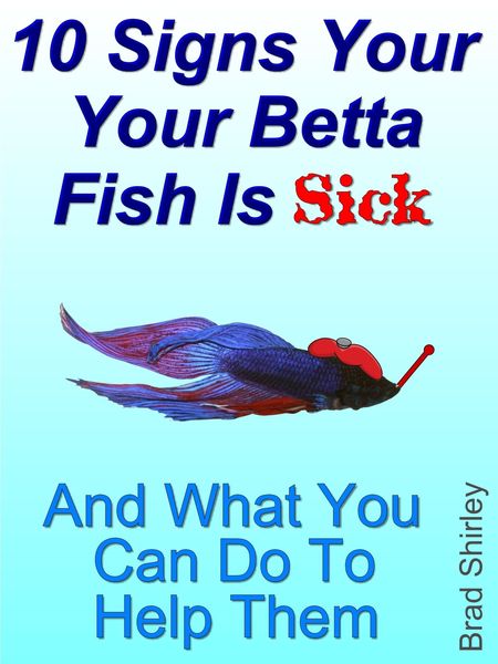 Produktbild: 10 Signs Your Betta Fish Is Sick