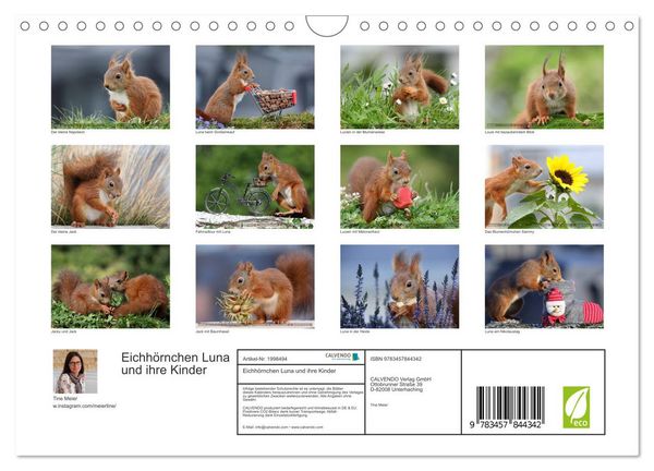 Produktbild: Eichh&ouml;rnchen Luna und ihre Kinder (Wandkalender 2026 DIN A4 quer), CALVENDO Monatskalender