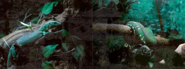 Produktbild: Escape Room. Die dunkle Insel