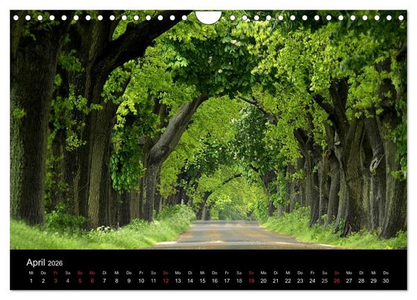 Produktbild: Traumhafte Ostseek&uuml;ste (Wandkalender 2026 DIN A4 quer), CALVENDO Monatskalender