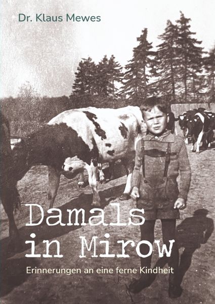 Produktbild: Damals in Mirow