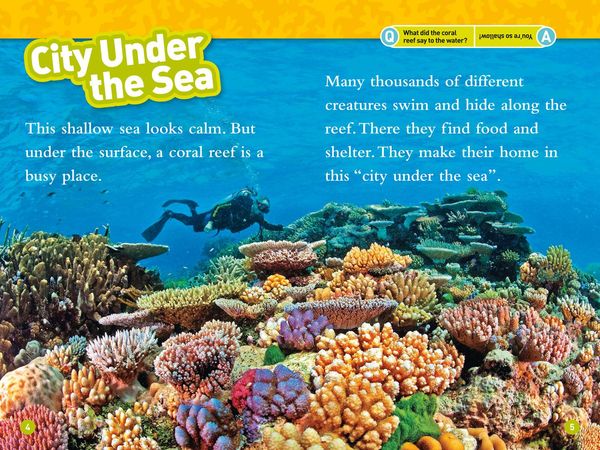 Produktbild: Coral Reefs