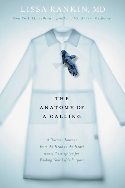 Produktbild: The Anatomy of a Calling