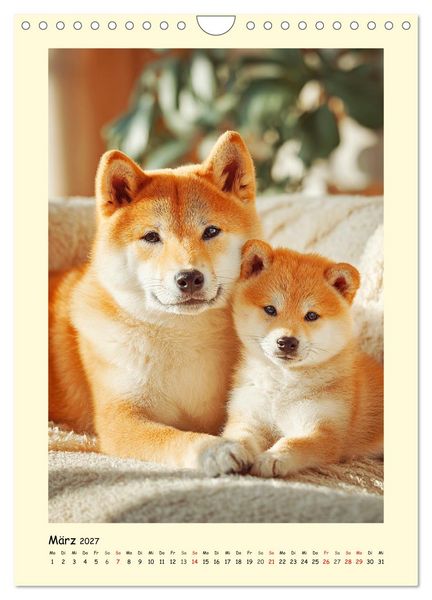 Produktbild: Shiba Inu Momente. Japans elegante Seelenhunde (Wandkalender 2027 DIN A4 hoch), CALVENDO Monatskalender