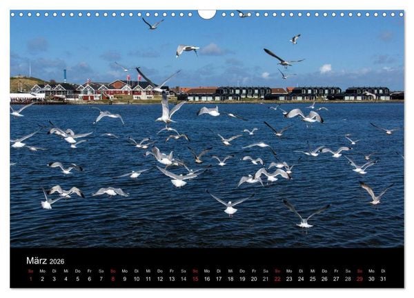 Produktbild: D&auml;nemark - Umgebung von Hvide Sande (Wandkalender 2026 DIN A3 quer), CALVENDO Monatskalender