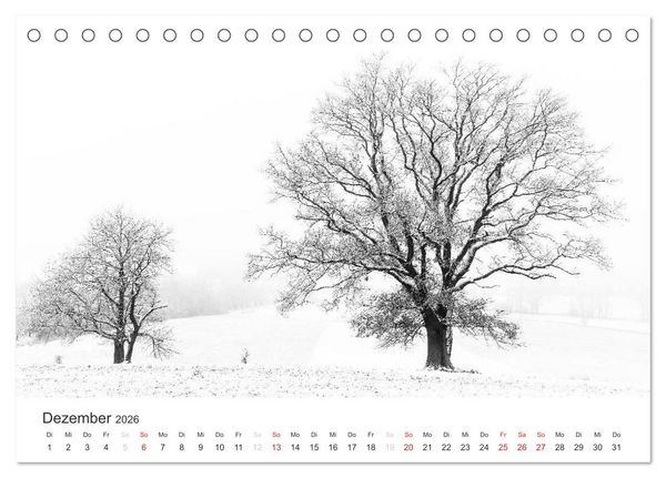 Produktbild: B&auml;ume - Natursch&ouml;nheiten in schwarz-wei&szlig; (Tischkalender 2026 DIN A5 quer), CALVENDO Monatskalender