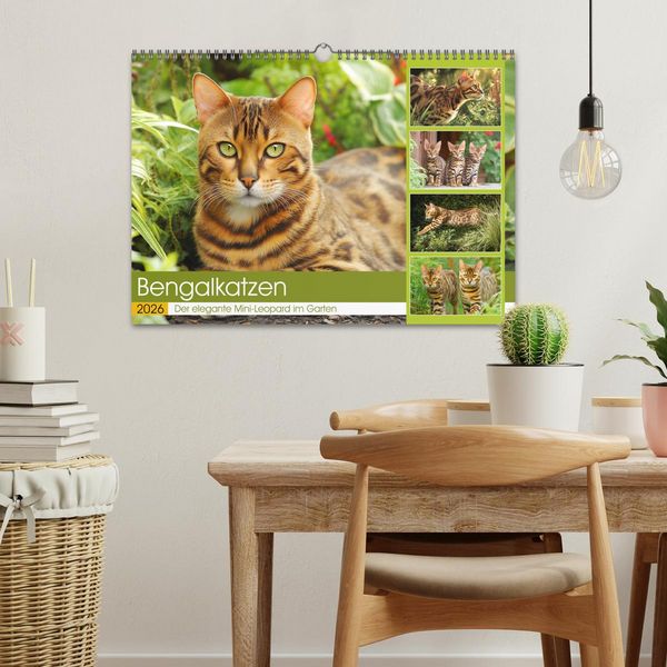 Produktbild: Bengalkatzen. Der elegante Mini-Leopard im Garten (Wandkalender 2026 DIN A3 quer), CALVENDO Monatskalender