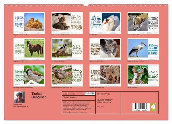 Produktbild: Tierisch Denglisch (Wandkalender 2026 DIN A2 quer), CALVENDO Monatskalender