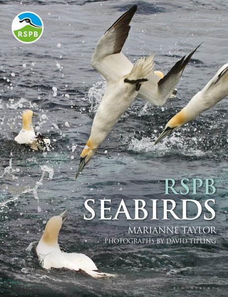 Produktbild: RSPB Seabirds