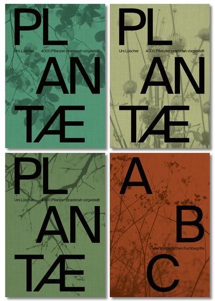 Produktbild: Plantae