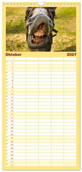 Produktbild: Familienplaner 2027 - Liebenswerte Esel mit 5 Spalten (Wandkalender, 21 x 45 cm) CALVENDO