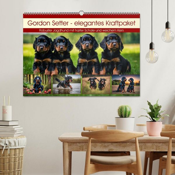 Produktbild: Gordon Setter - elegantes Kraftpaket (Wandkalender 2026 DIN A2 quer), CALVENDO Monatskalender