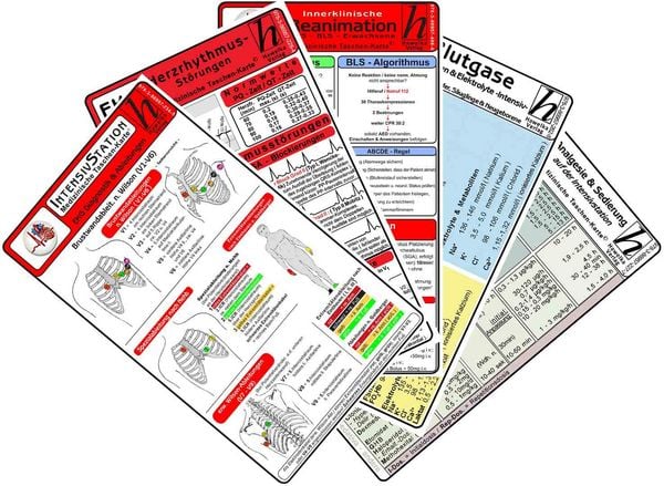 Intensiv-Station Karten-Set 2025 - EKG Diagnostik & Ableitungen, Herzrhythmusstörungen, Reanimation - Innerklinisch, Blu