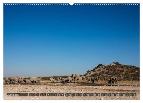 Produktbild: Wildes Namibia (Wandkalender 2026 DIN A2 quer), CALVENDO Monatskalender