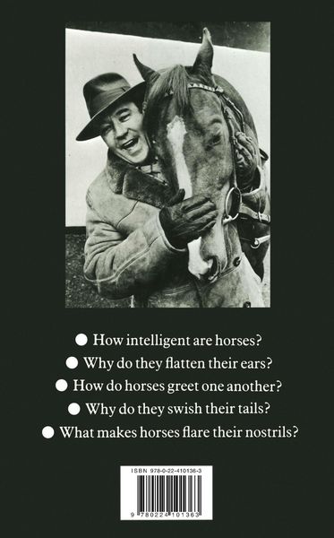 Produktbild: Horsewatching