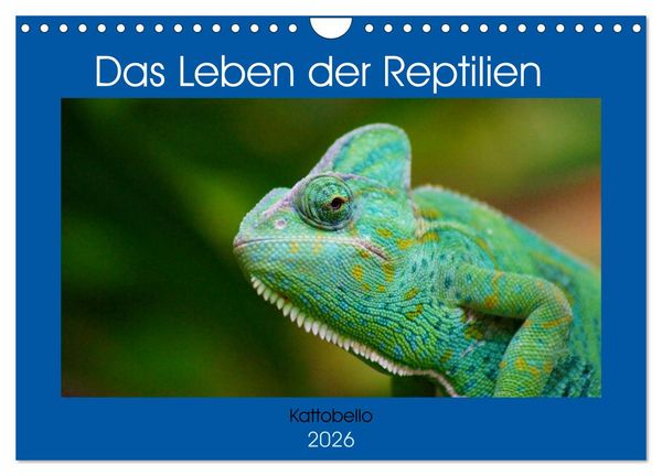 Produktbild: Das Leben der Reptilien (Wandkalender 2026 DIN A4 quer), CALVENDO Monatskalender