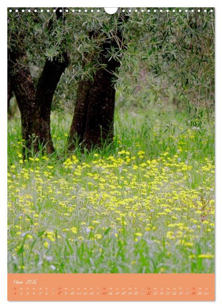 Produktbild: Provence Idyllen (Wandkalender 2026 DIN A3 hoch), CALVENDO Monatskalender