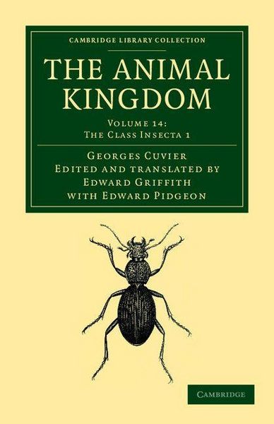 Produktbild: The Animal Kingdom - Volume 14