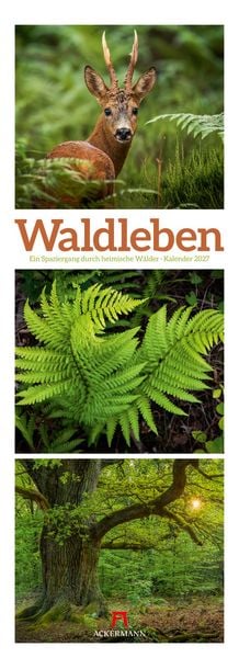 Produktbild: Waldleben Triplet-Kalender 2027 | Spaziergang durch heimische W&auml;lder