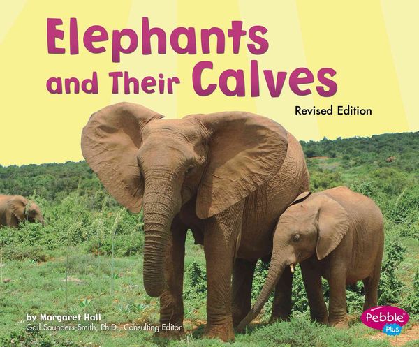 Produktbild: Elephants and Their Calves