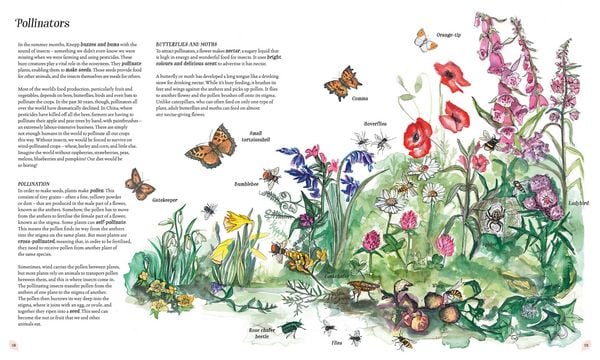 Produktbild: Wilding: How to Bring Wildlife Back - an Illustrated Guide