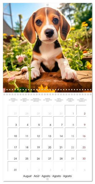 Produktbild: Cute PUPPY PERSONALITIES (Wall Calendar 2026 12 &times; 12 Inch) CALVENDO 12 Month Wall Calendar