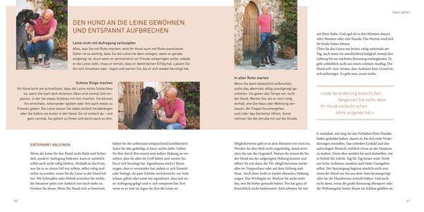 Produktbild: Jos&eacute; Arce's Praxisbuch
