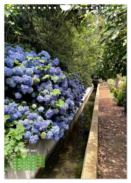Produktbild: Madeiras Flora. Wundersame Wildblumen und exotische Geh&ouml;lze (Wandkalender 2027 DIN A4 hoch), CALVENDO Monatskalender