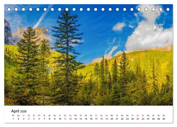 Produktbild: W&auml;lder: die letzte Zuflucht f&uuml;r die Wildnis (Tischkalender 2026 DIN A5 quer), CALVENDO Monatskalender
