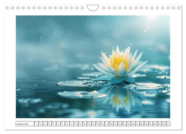 Produktbild: Lichtspiel der Seerosen (Wandkalender 2026 DIN A4 quer), CALVENDO Monatskalender