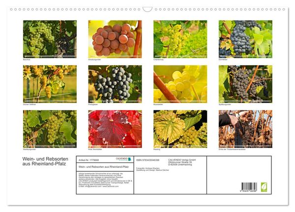 Produktbild: Wein- und Rebsorten aus Rheinland-Pfalz (Wandkalender 2025 DIN A2 quer), CALVENDO Monatskalender