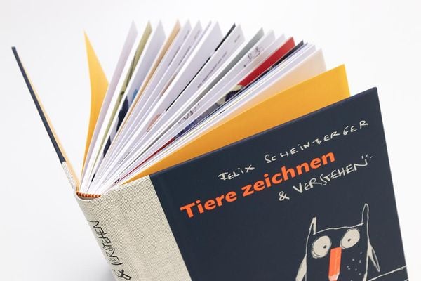 Produktbild: Tiere zeichnen und verstehen