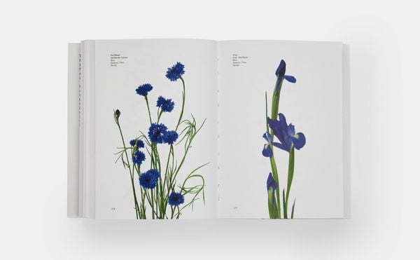 Produktbild: Flower Colour Guide