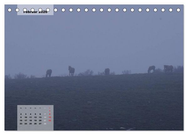 Produktbild: Nordportugal - Heimat der letzten wilden Pferde (Tischkalender 2026 DIN A5 quer), CALVENDO Monatskalender