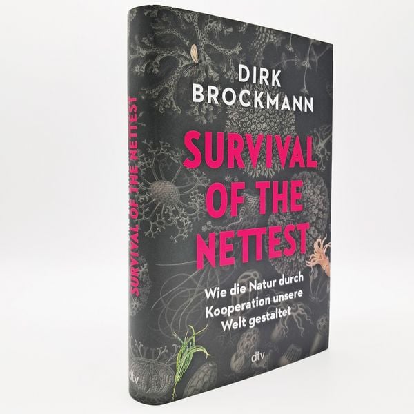 Produktbild: Survival of the Nettest