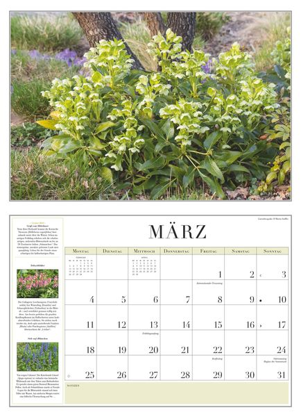'Gartenkalender 2024 42x29' 'DuMont