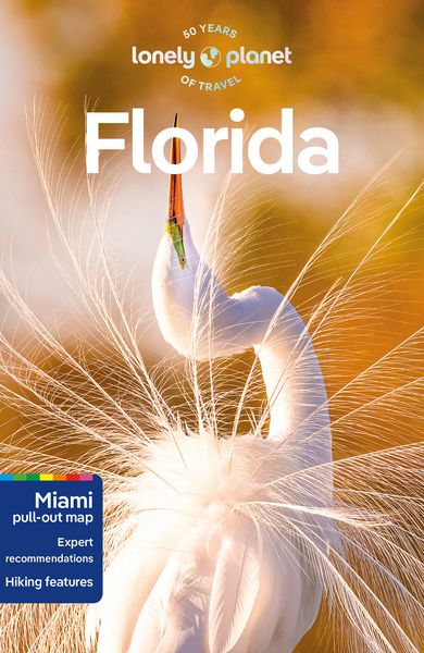 Produktbild: Lonely Planet Florida