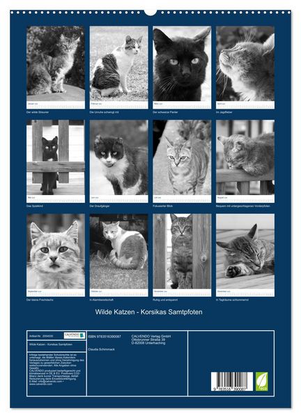 Produktbild: Wilde Katzen - Korsikas Samtpfoten (hochwertiger Premium Wandkalender 2026 DIN A2 hoch), Kunstdruck in Hochglanz