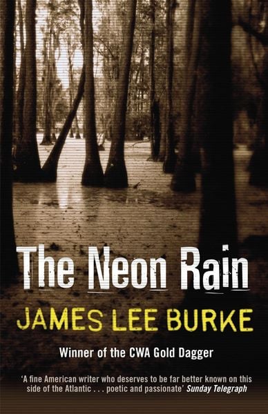 Book cover of The Neon Rain