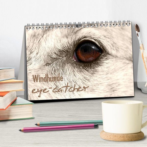Produktbild: Windhunde eye-catcher (Tischkalender 2026 DIN A5 quer), CALVENDO Monatskalender